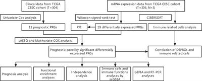 A Pyroptosis-Related Gene Panel for Predicting the Prognosis and Immune Microenvironment of Cervical Cancer